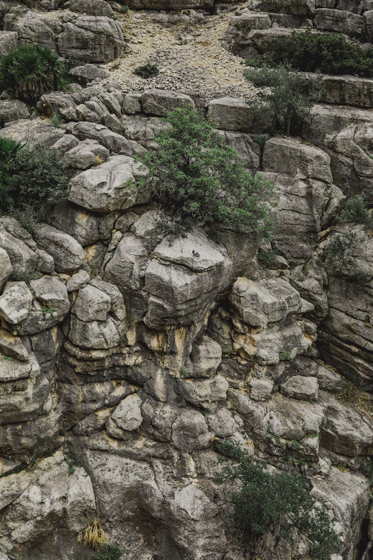 Barren Rocks Edge