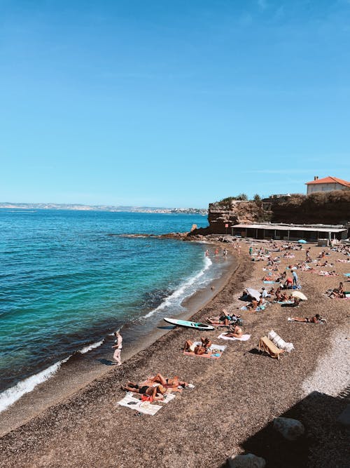 People Sunbathing on the Beach 