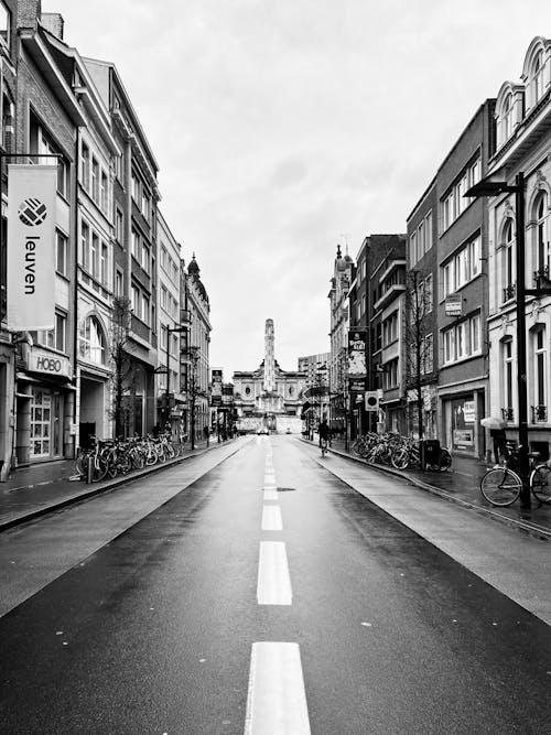 Road by the Tenements in Netherlands in Black and White 