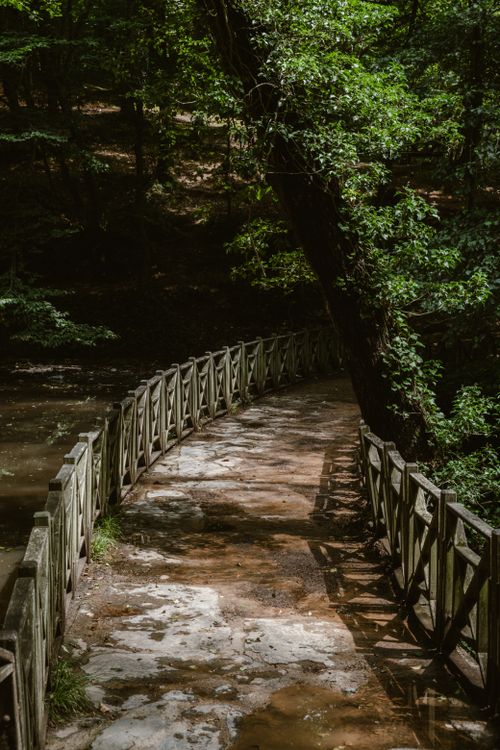 Free Peaceful wooden footpath winding through lush greenery in Istanbul park. Stock Photo