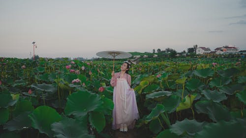 Free Young Woman Standing on a Field with Lotuses  Stock Photo