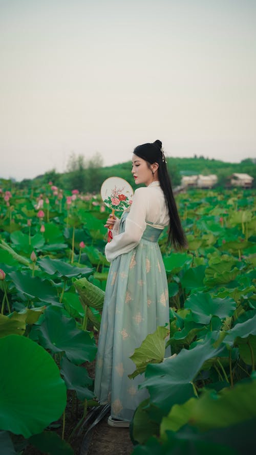 Model in Traditional Chinese Costume with a Fan in a Lotus Field