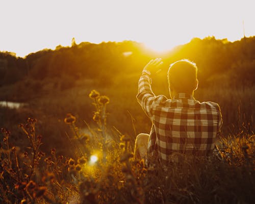 Immagine gratuita di camicia, campo, luce del sole