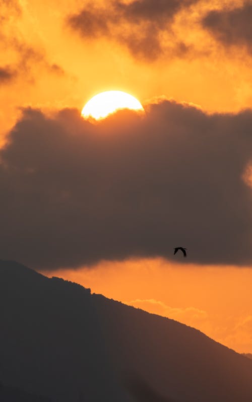 Fotos de stock gratuitas de amanecer, anochecer, cielo