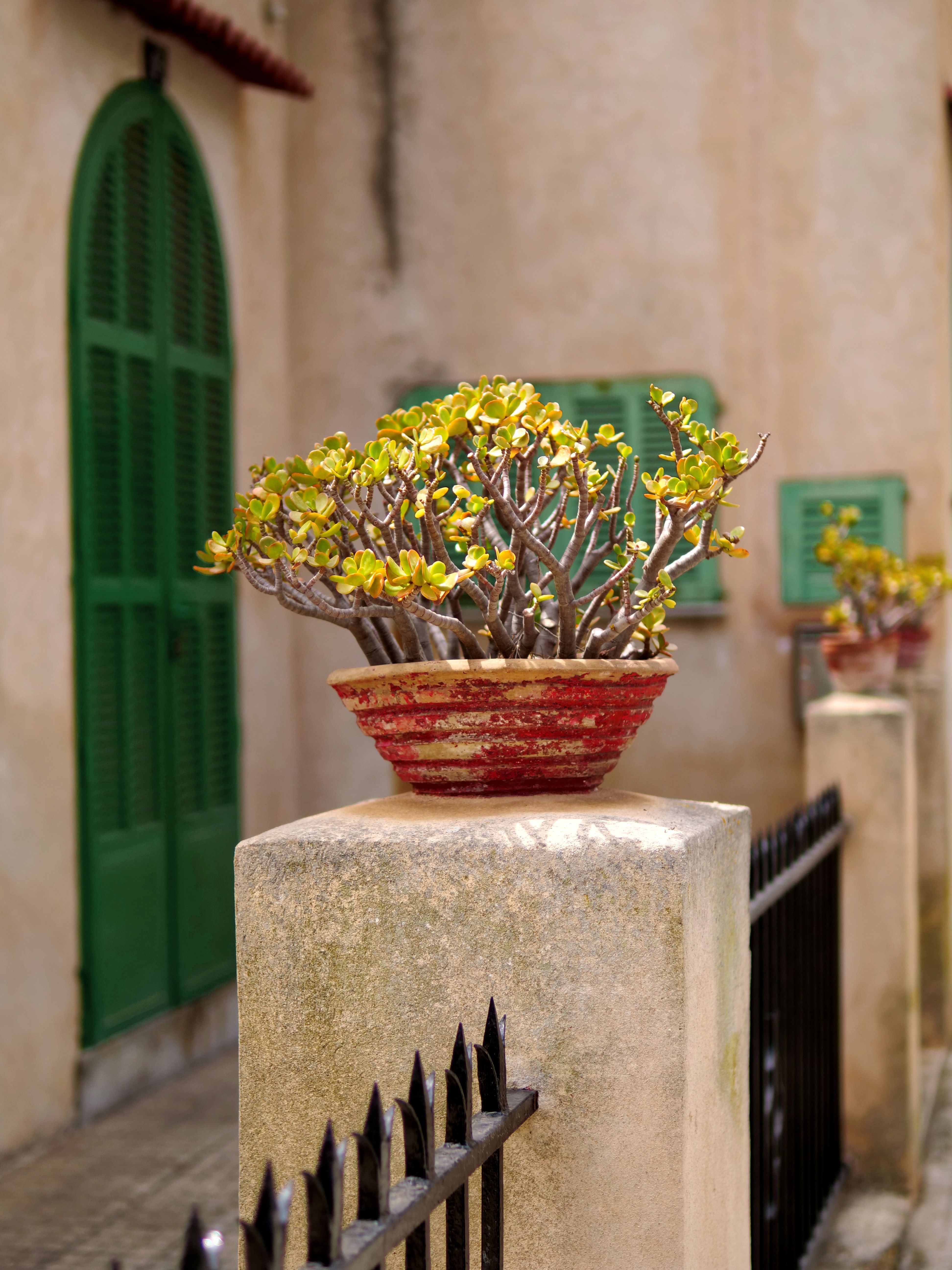 Antique Flower Pot Photos, Download The BEST Free Antique Flower Pot ...