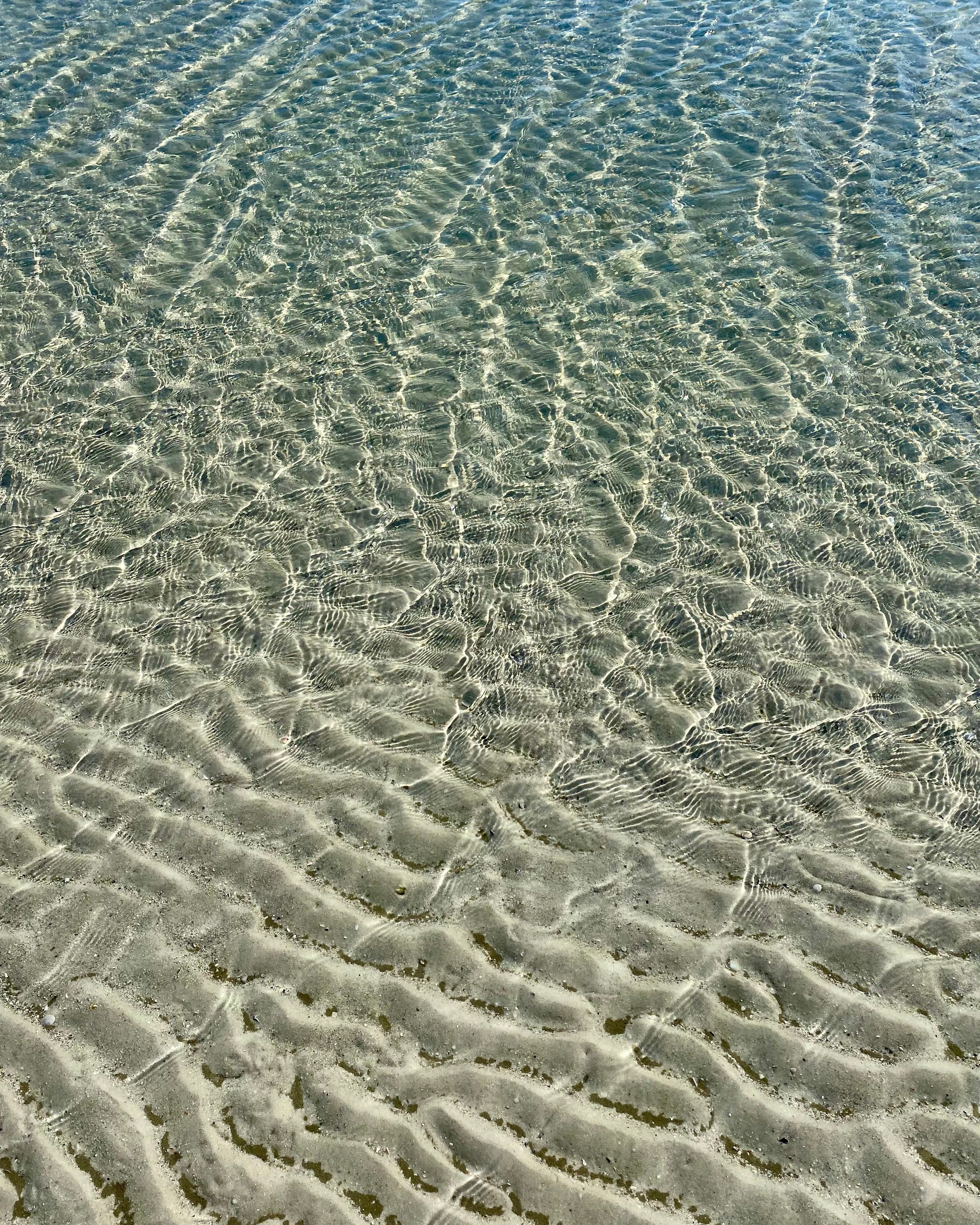 Sandy Beach under the Clear Sea Water · Free Stock Photo