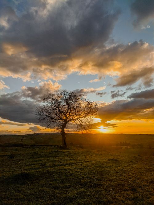 Free Stunning sunset landscape with a solitary tree, vibrant sky, and countryside scenery. Stock Photo