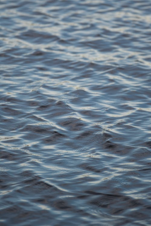 Бесплатное стоковое фото с вертикальный выстрел, вода, волны