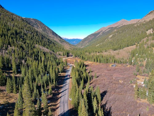 Aerial View a Road in a Valley with Coniferous Trees under Blue Sky 
