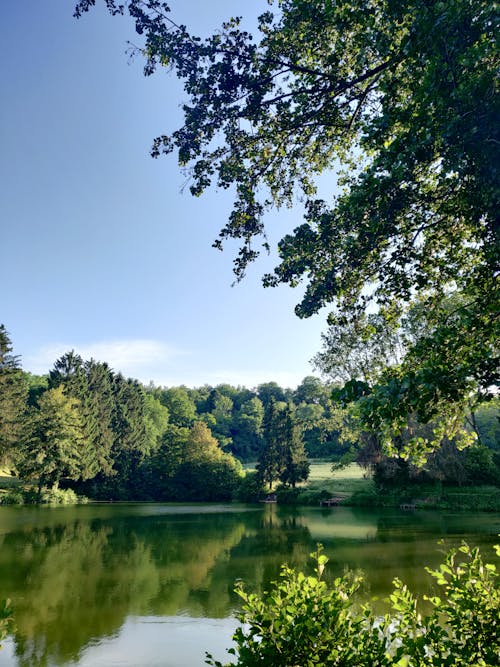 Foto profissional grátis de árvores, beira do lago, lago