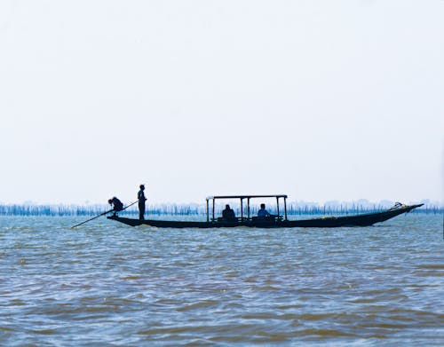 人們旅行, 划船, 印度 的 免費圖庫相片