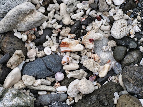 Colorful Stones and Shells on a Beach 