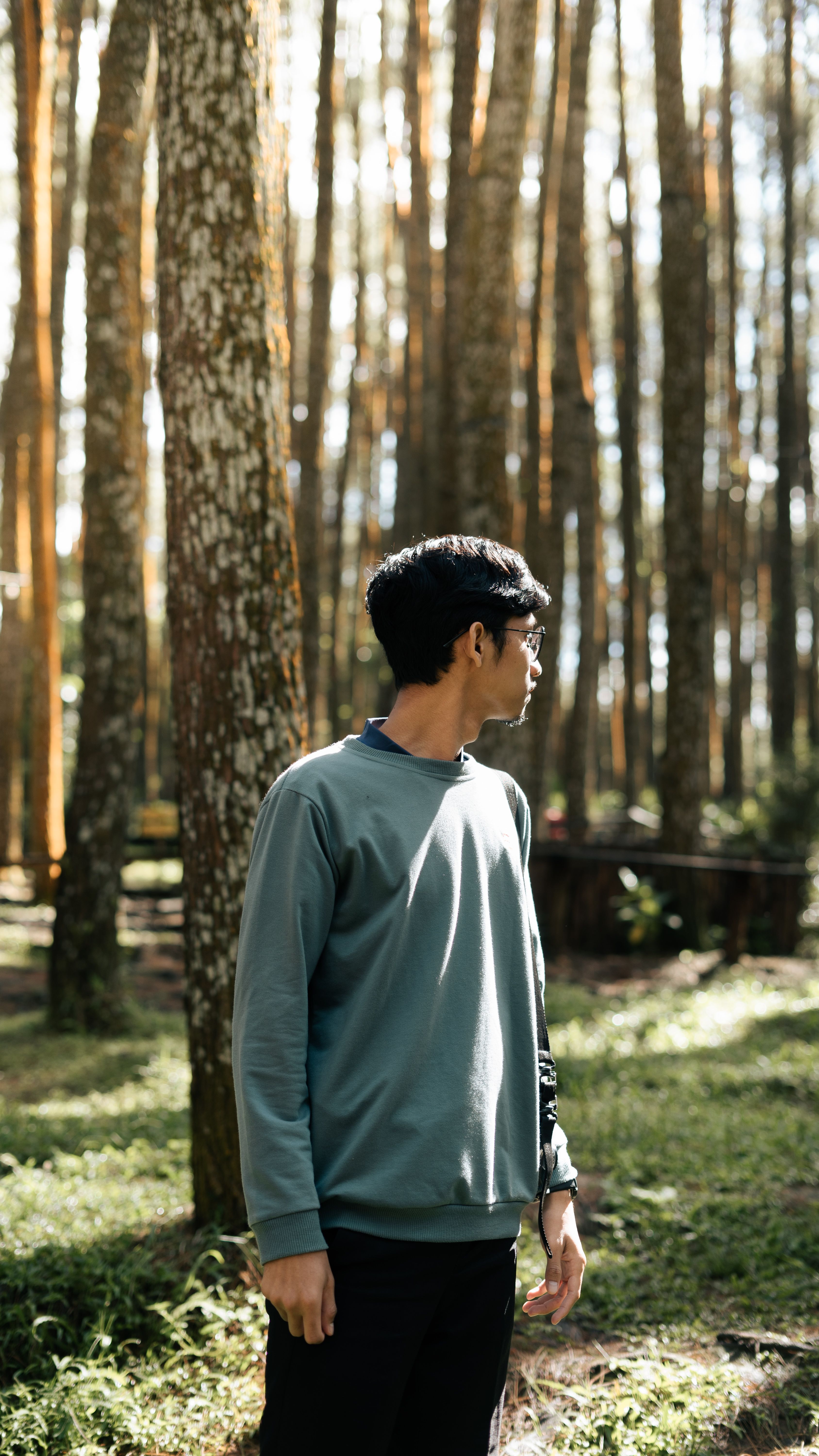 A man stands in a sunlit forest wearing a sweatshirt, surrounded by tall trees.
