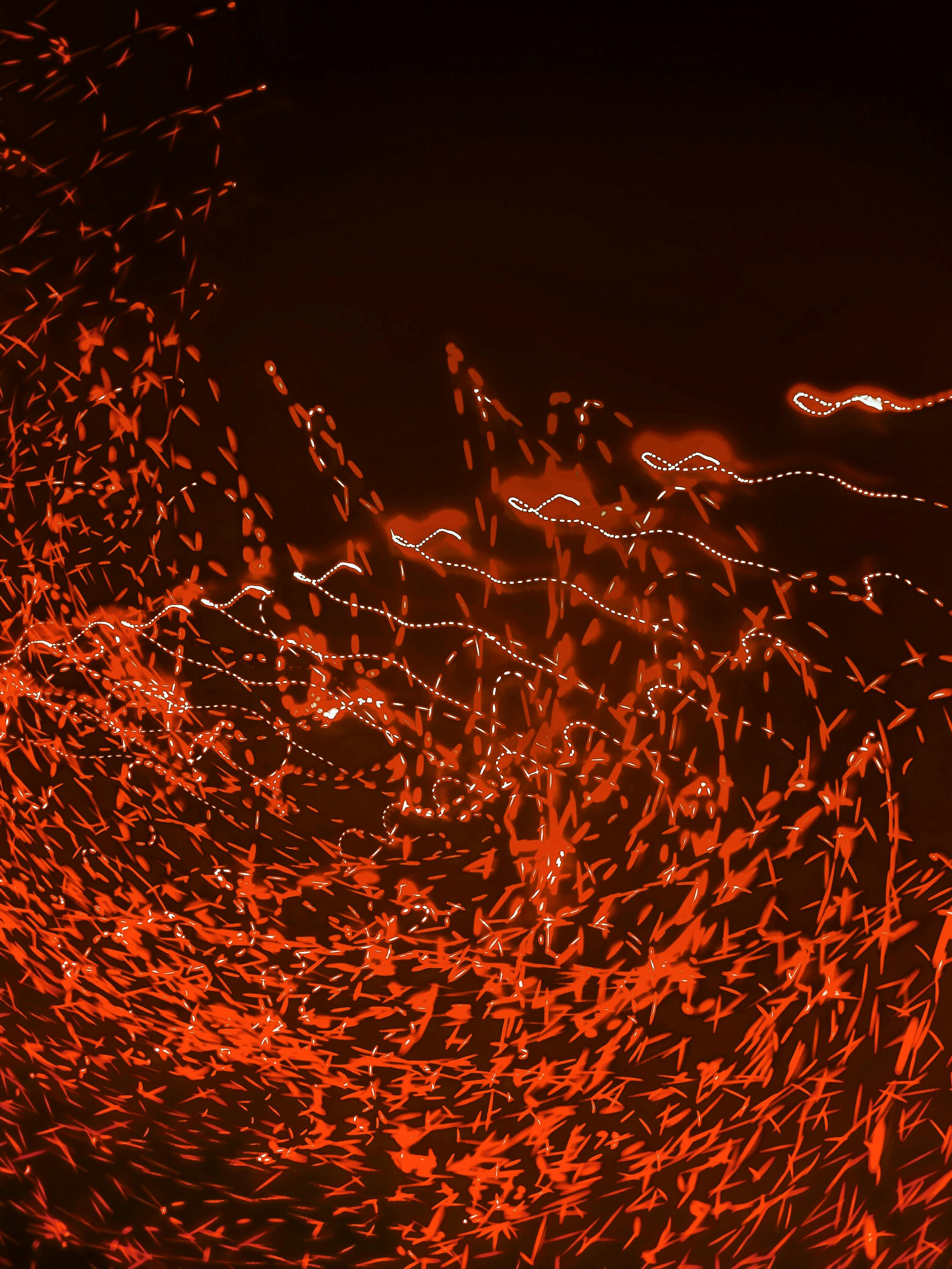 De franc Foto d'estoc gratuïta de 2020 fons de pantalla, 3d il lustració, abstracte Foto d'estoc