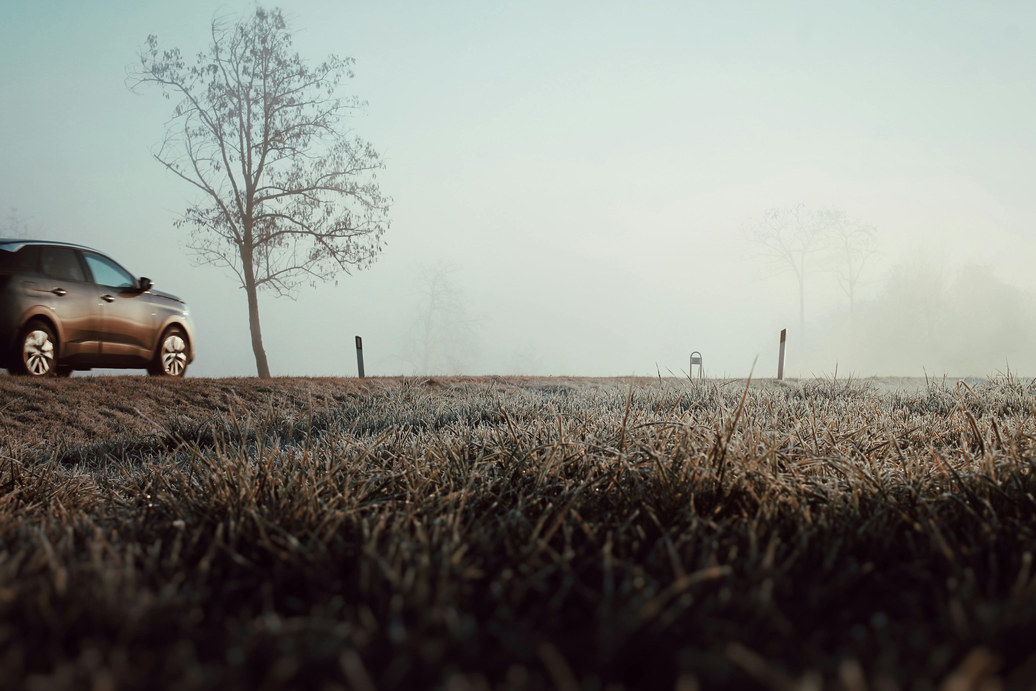 1. A Source of Serenity: Unleashing the Potential of Morning Blessings