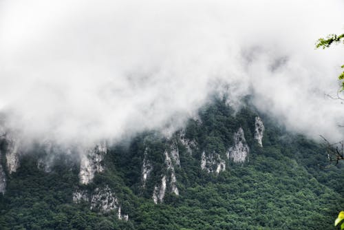 Photos gratuites de arbres, chaîne de montagnes, condensation