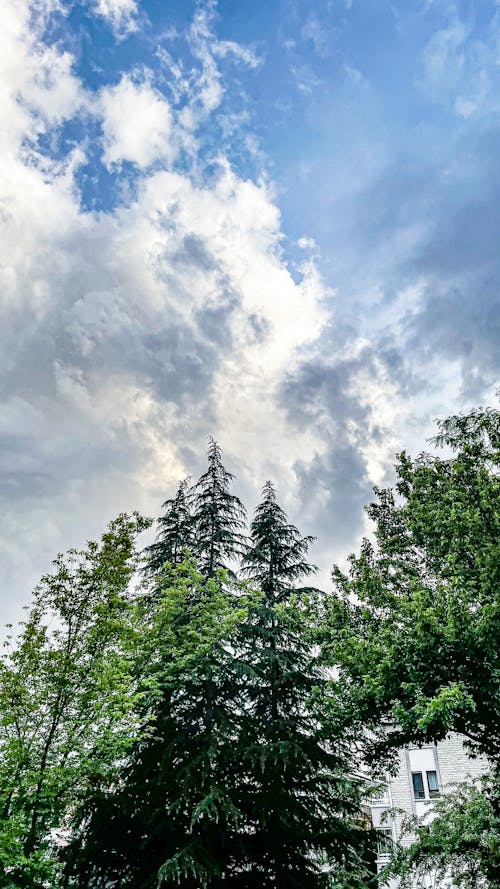 Безкоштовне стокове фото на тему «ankara, зелений, небо»