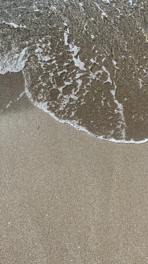 둥글게 말아 놓은, 모래, 바다의 무료 스톡 사진