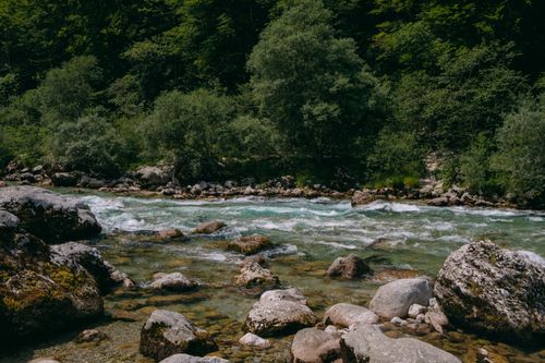 Free Serene summer river flowing through lush green forest with rocky banks, capturing untouched wilderness. Stock Photo
