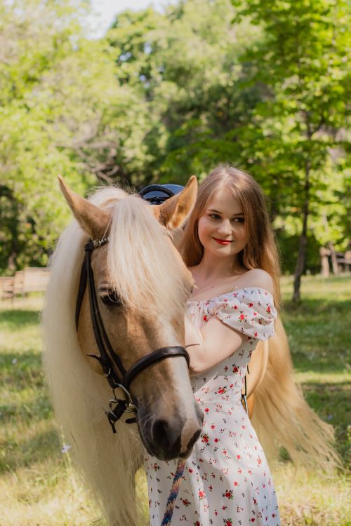 Free A smiling woman with a horse in a sunny countryside setting during summer. Stock Photo