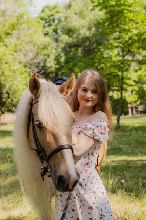 Free A woman standing with a saddled horse in a summer park, enjoying leisure time. Stock Photo