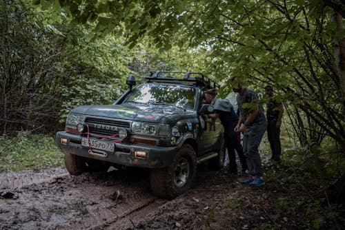 Free stock photo of deep forest, off road, people