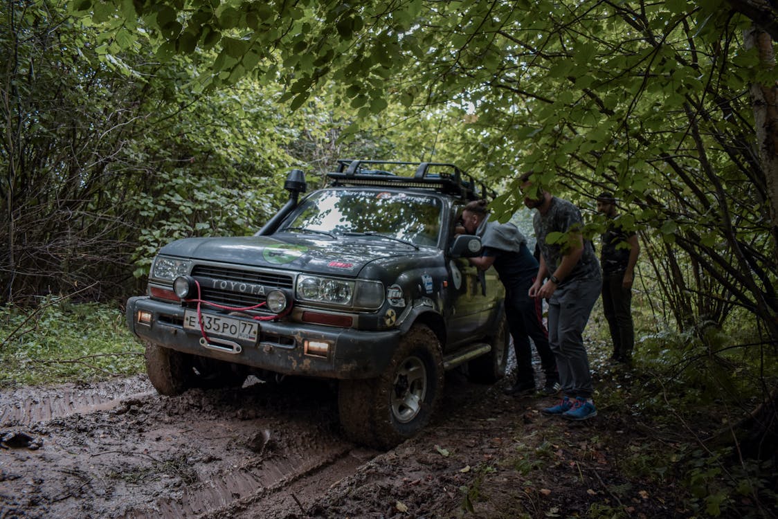 Fotobanka s bezplatnými fotkami na tému hlboký les, ľudia, off-road