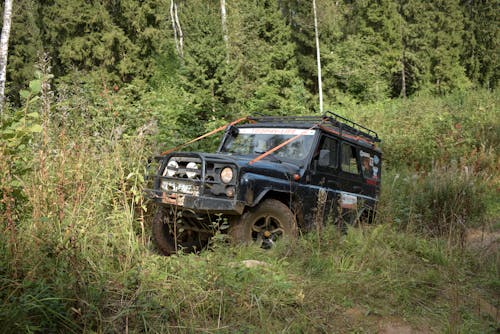 Free stock photo of car, deep forest, jeep