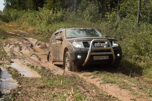 Free stock photo of car, jeep, mud