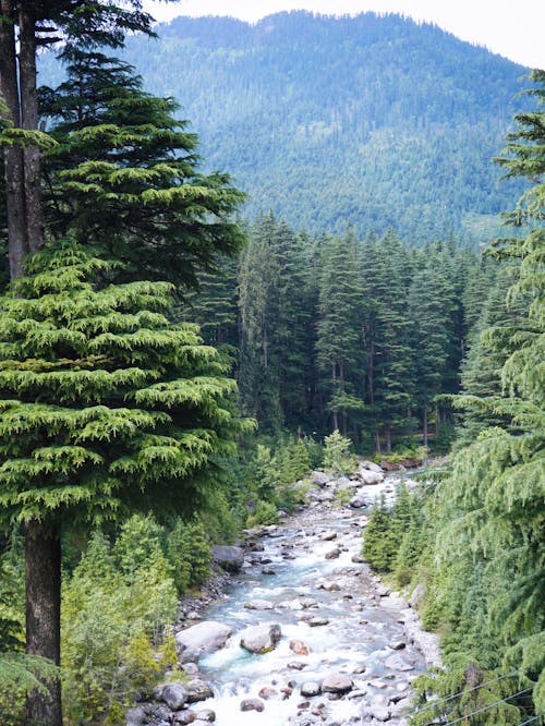 River Between Mountains