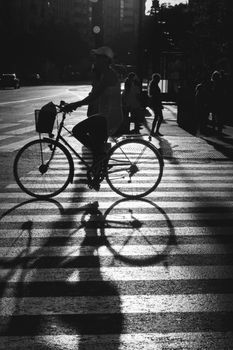 A black and white silhouette of a cyclist captured on a sunlit urban crosswalk in the city streets.
