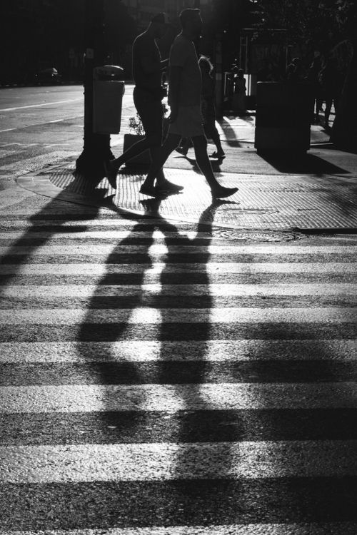Free Silhouettes of people walking across a crosswalk, casting long shadows in a city. Stock Photo