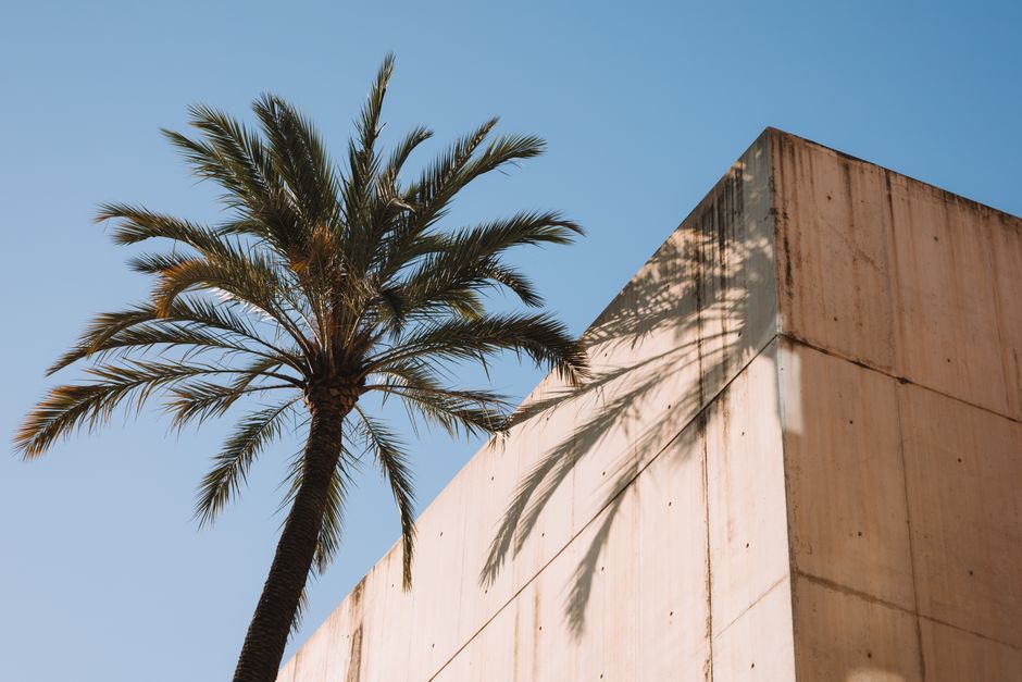 A modern concrete facade with a palm tree under a clear blue sky, evoking summer vibes.
