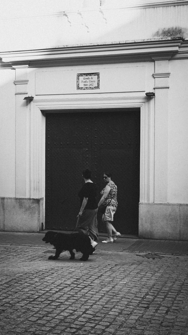 People Walking Dog On Paving Street