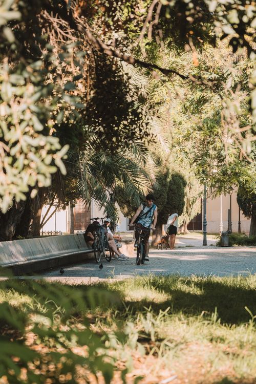 Free Serene urban park scene with people and bicycles under lush trees. Stock Photo
