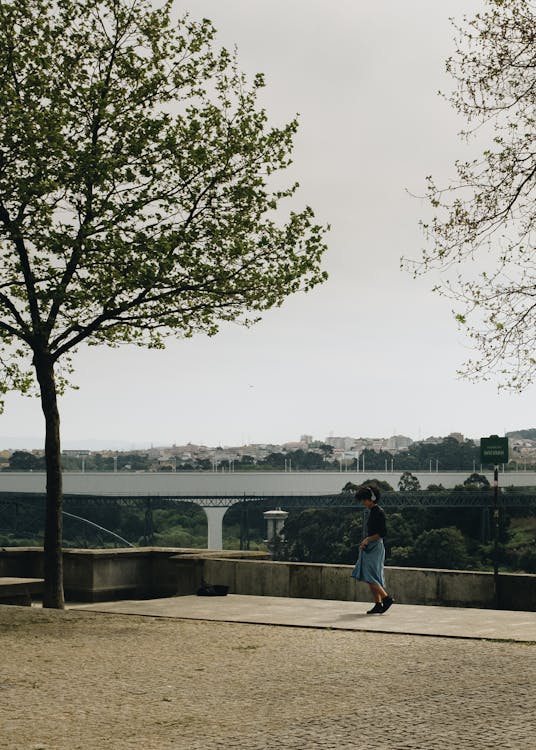 Bridge in City