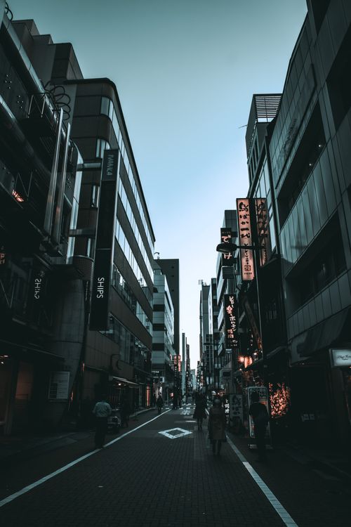 Free A serene evening street scene in Tokyo with pedestrians and illuminated city signs. Stock Photo
