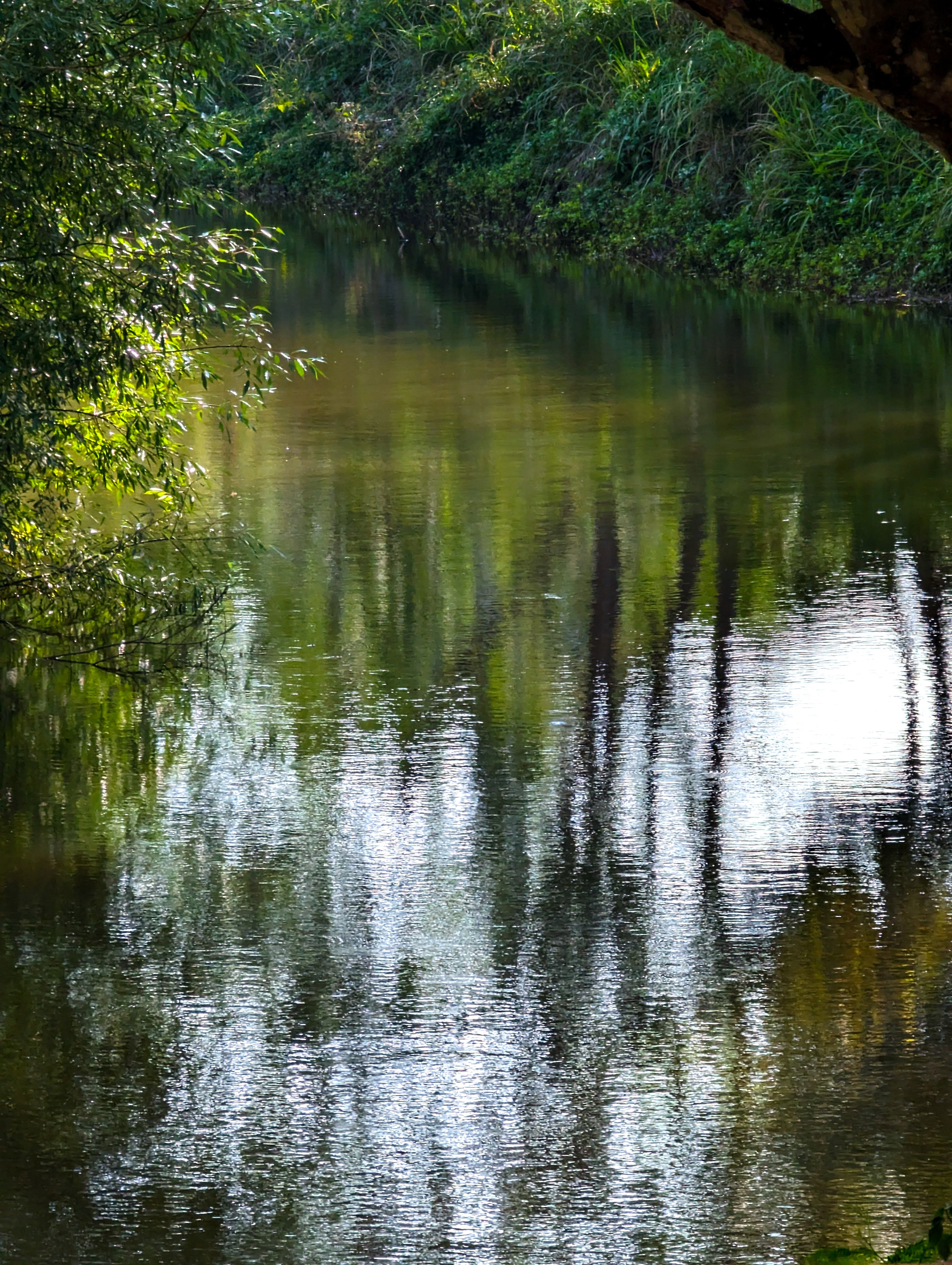 quiet Lehigh reflections under late light