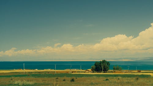 Δωρεάν στοκ φωτογραφιών με ακτή, γήπεδο, γρασίδι