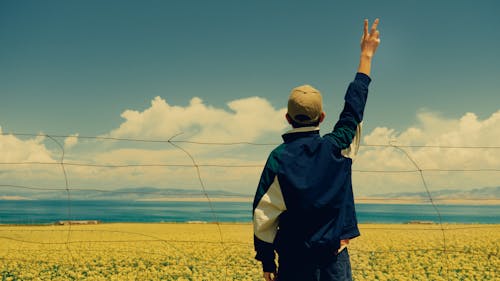 Boy Showing V-sign by Rapeseed Field