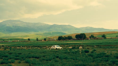 araba, arazi, çimenlik içeren Ücretsiz stok fotoğraf
