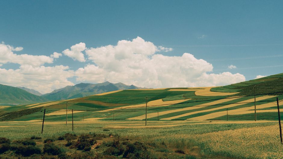 Vast fields with rolling hills and vibrant patterns under a blue sky with fluffy clouds.