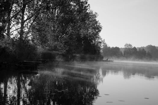 Black and white misty landscape of a serene lake reflecting a foggy forest.