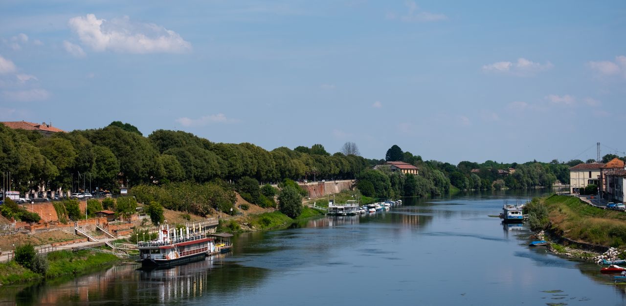 Pavia