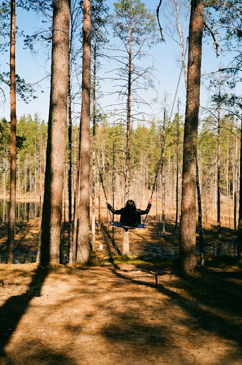 Woman on Swing in Forest