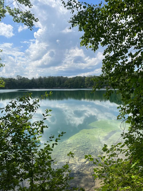 Green Forest around Lake