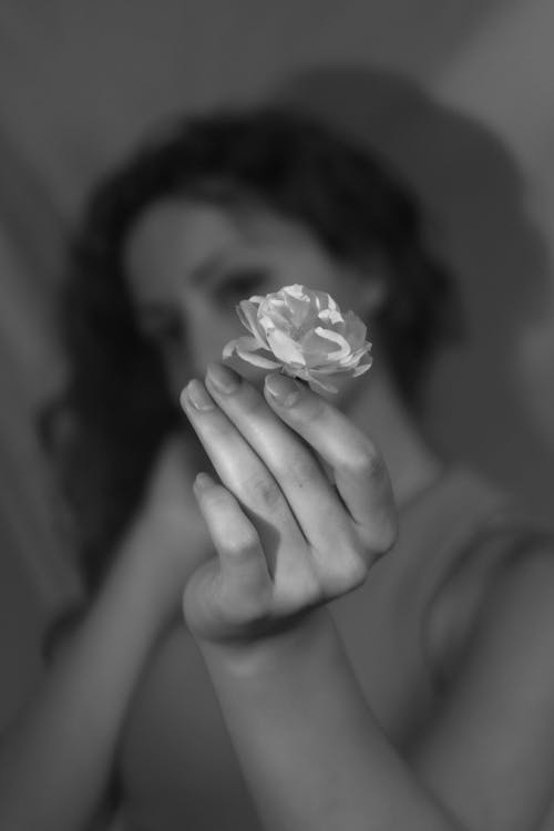 Flower in Woman Hand in Black and White