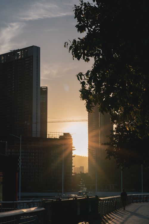 Free Golden sunset casting shadows over urban skyscrapers and tree silhouette. Stock Photo