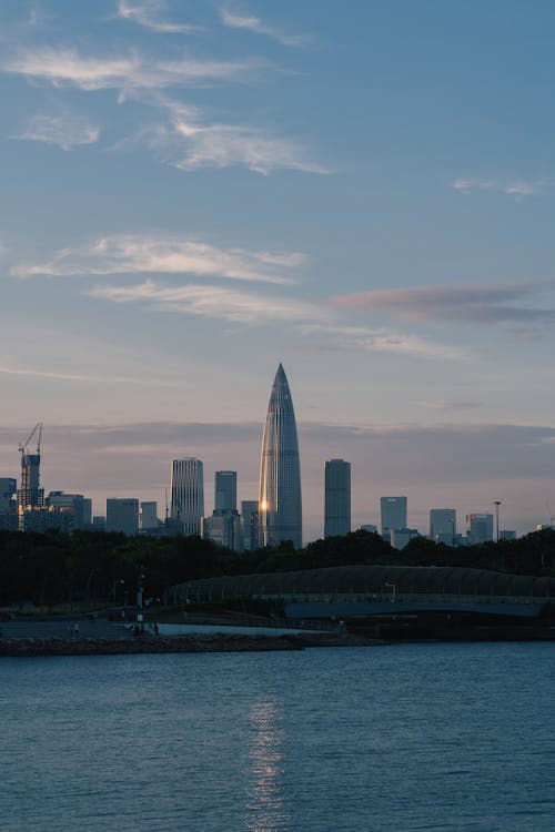 Skyscrapers in City near Water