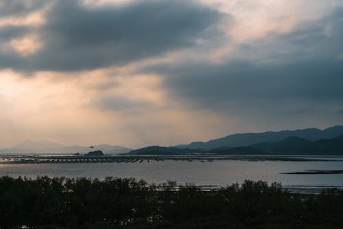 曇り, 木, 湖の無料の写真素材